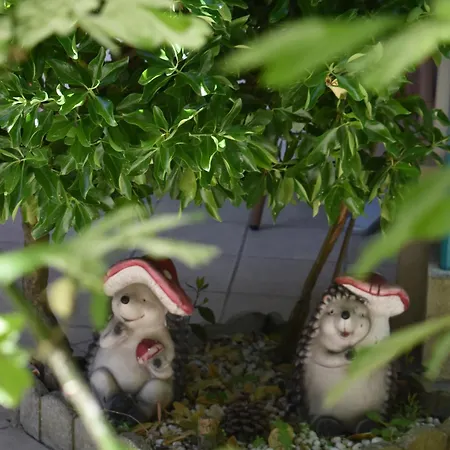 Orange Marine Hotel 2*